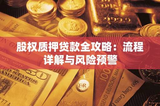 武汉股权质押贷款全攻略：流程详解与风险预警