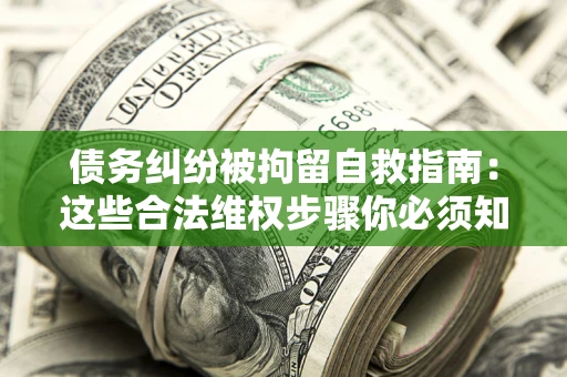 武汉债务纠纷被拘留自救指南：这些合法维权步骤你必须知道！
