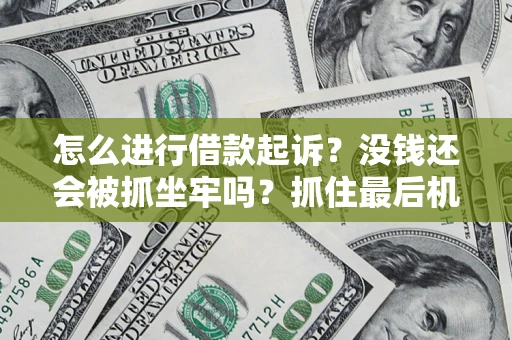 武汉怎么进行借款起诉？没钱还会被抓坐牢吗？抓住最后机会！