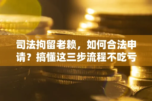 武汉司法拘留老赖，如何合法申请？搞懂这三步流程不吃亏！