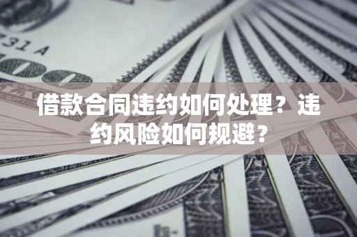 武汉借款合同违约如何处理？违约风险如何规避？