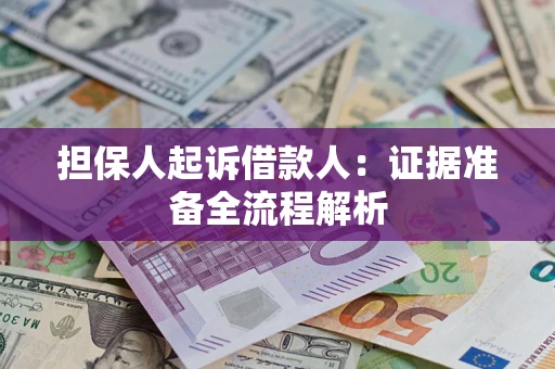 武汉担保人起诉借款人：证据准备全流程解析