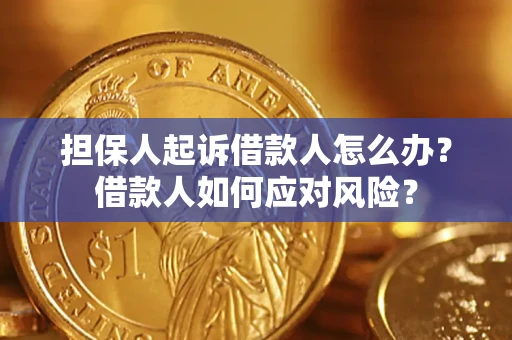 武汉担保人起诉借款人怎么办？借款人如何应对风险？