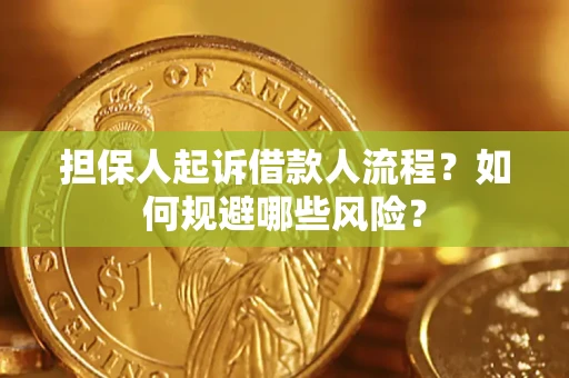 武汉担保人起诉借款人流程？如何规避哪些风险？