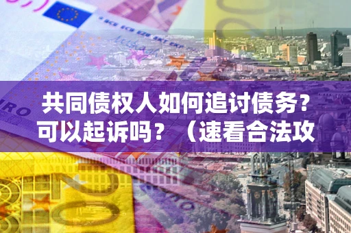武汉共同债权人如何追讨债务？可以起诉吗？（速看合法攻略）