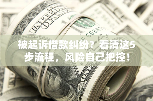 武汉被起诉借款纠纷？看清这5步流程，风险自己把控！