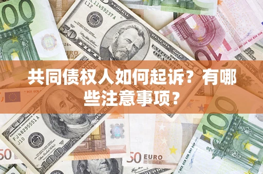 武汉共同债权人如何起诉？有哪些注意事项？